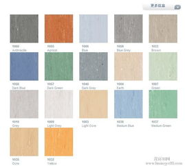 圖片 品牌 生產(chǎn)供應商廠家 北京塑膠地板公司