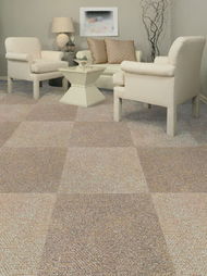 家裝塑膠地板,地板, 塑膠地板, 運(yùn)動地板生產(chǎn)供應(yīng)商 其它地板