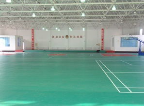 天津運動地板、廊坊PVC地板、唐山塑膠地板與滄州球場地板廠家圖片展示